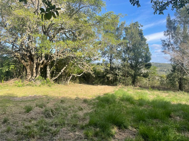 3 Bedroom Property for Sale in Summerpride Eastern Cape